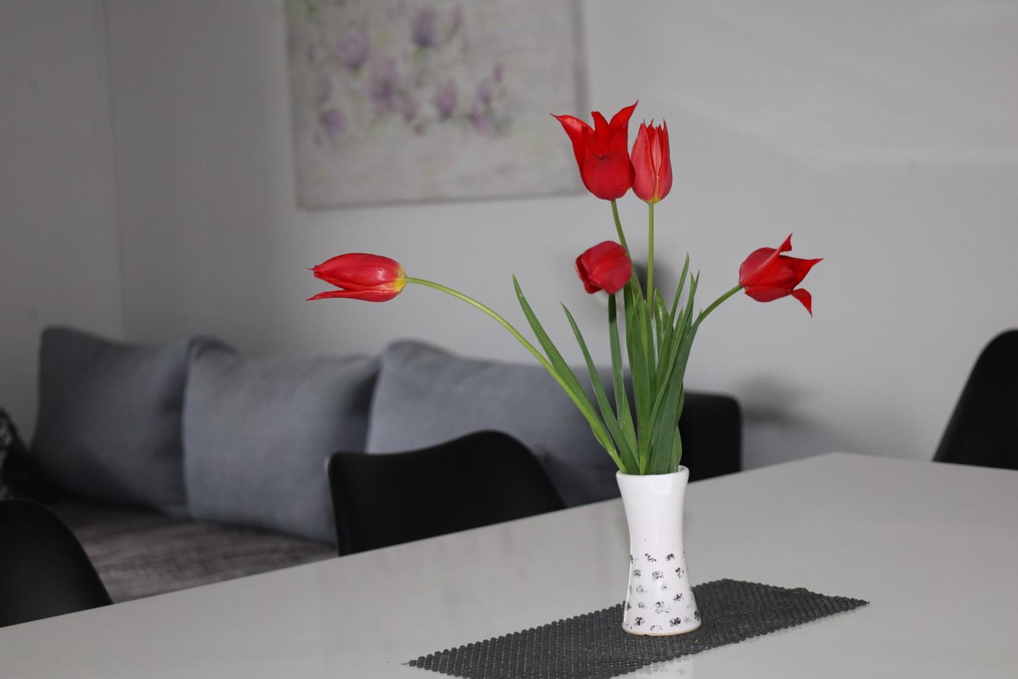 Apartma Javorscek Bovec Dış mekan fotoğraf